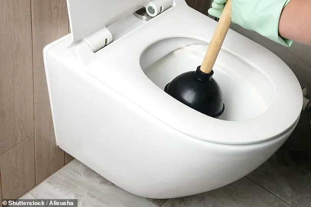 11 Surprising Items That Can Clog Pipes and Harm the Environment