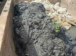 11 Surprising Items That Can Clog Pipes and Harm the Environment