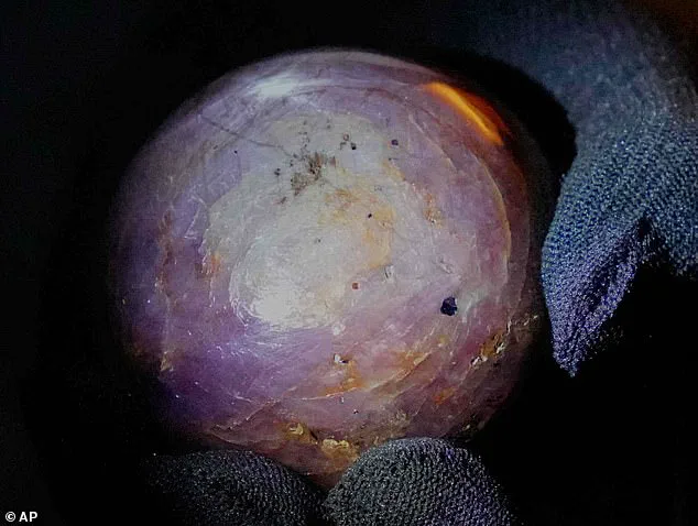 3,563-Carat 'Star of Pure Land' Purple Star Sapphire Discovered in Sri Lanka, Claims Record as Largest Natural Star Sapphire Ever Found
