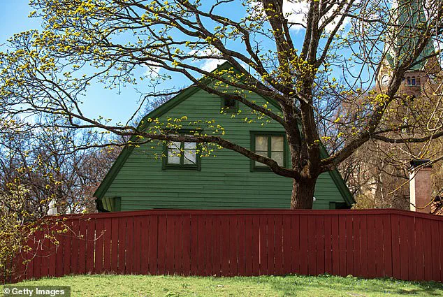 A Growing Divide: Overgrown Trees and the Legal Quagmire of Shared Green Spaces