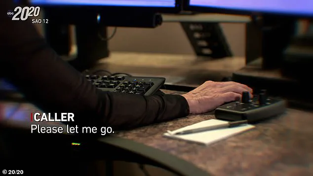 A Husband's Sole Witness: The Haunting Legacy of Denise Amber Lee's Final Moments in North Port