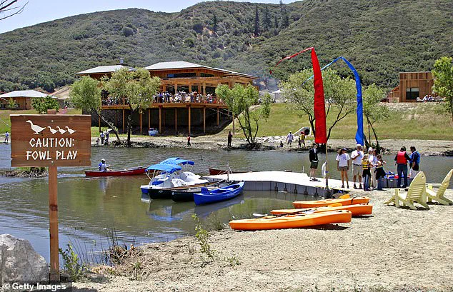 According to the Los Angeles County District Attorney's Office, former CEO Christopher Butler faces 15 felony charges in The Painted Turtle embezzlement scandal.