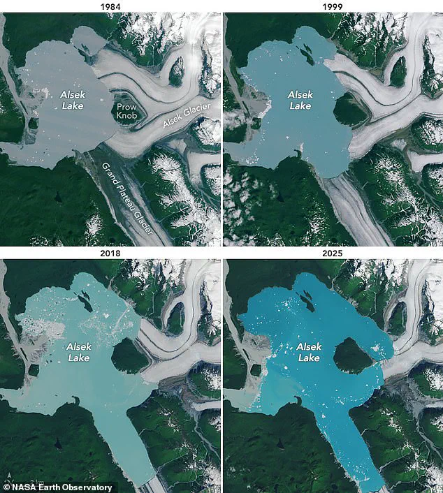 Alaska's Prow Knob: Rapid Formation of a New Island in 40 Years