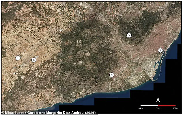 Ancient Shell Trumpets in Catalonia Reveal Neolithic Communication Ingenuity