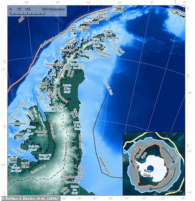 Antarctica's Ice Could Shrink by 20% by 2100, Study Warns of Global Consequences