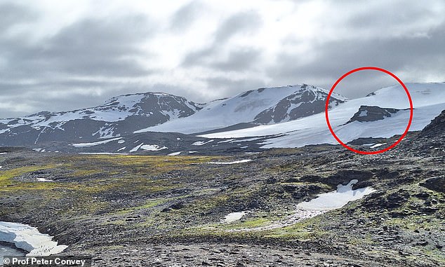 Antarctica's Ice Could Shrink by 20% by 2100, Study Warns of Global Consequences