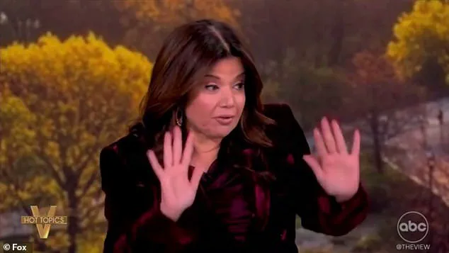 As Thanksgiving Travel Looms, Urgent Debate Over Airline Regulations and Civility Intensifies