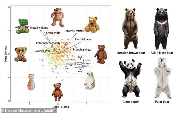 BioScience Study Reveals Teddy Bears May Distort Children's Understanding of Nature