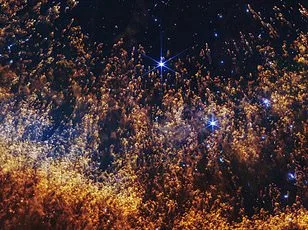 Bizarre Planetary System Defies Cosmic Rules, Leaving Scientists in Awe