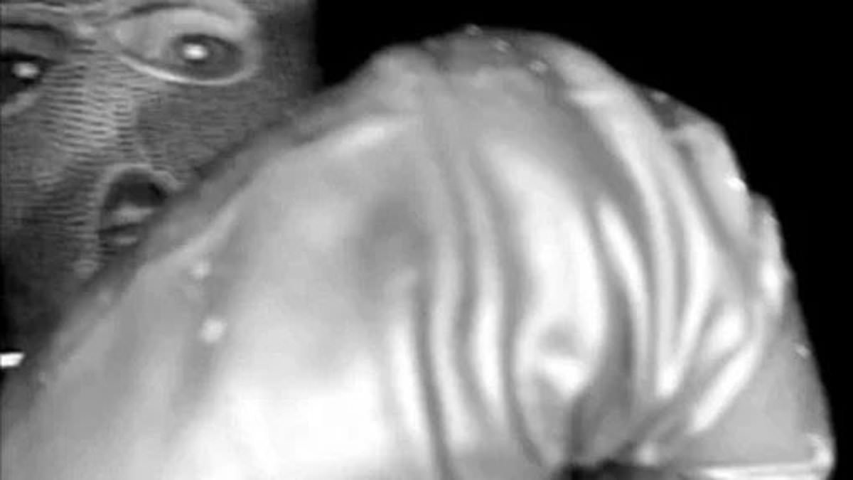 Black Glove Found Near Nancy Guthrie's Home Linked to Suspect in Abduction Case