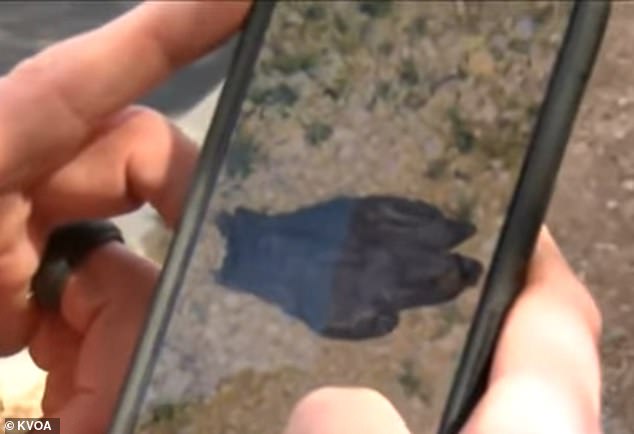 Bloody Glove Discovered Near Nancy Guthrie's Home on 20th Day of Search; Couple Alerts FBI