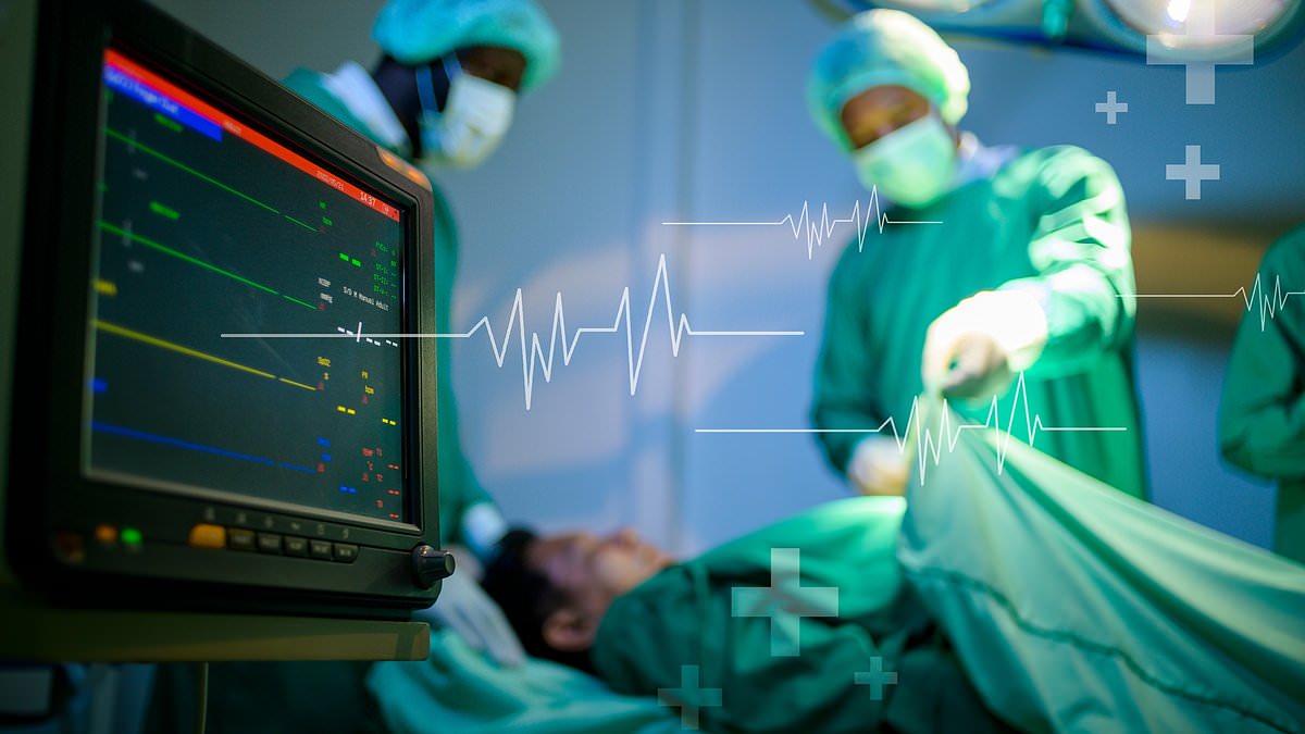 Brain Activity May Persist After Clinical Death, Study Reveals