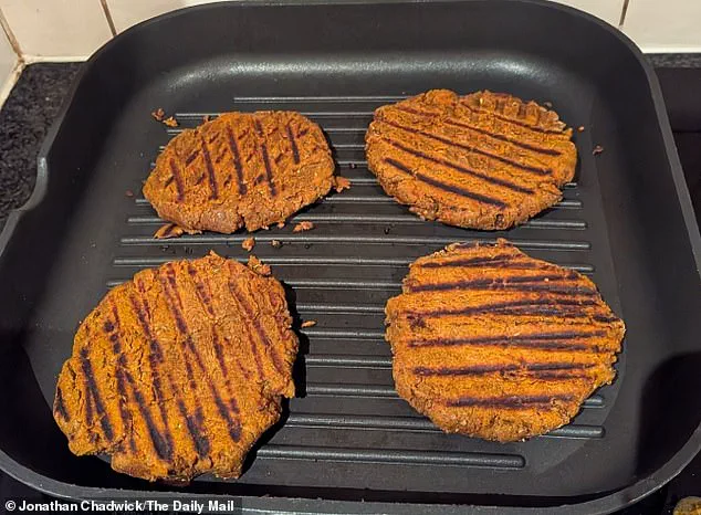 Brazilian Scientists Spotlight Sunflower Flour as a Sustainable Game-Changer in Vegan Meat Alternatives