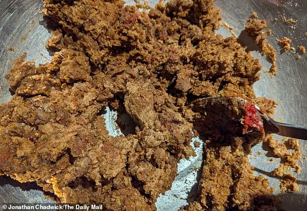 Brazilian Scientists Spotlight Sunflower Flour as a Sustainable Game-Changer in Vegan Meat Alternatives