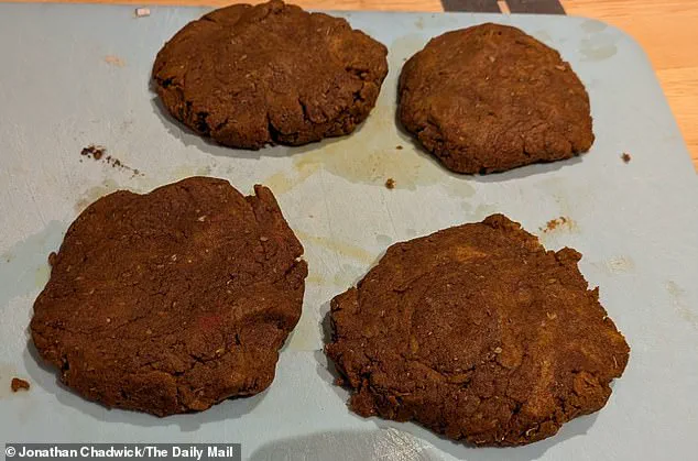 Brazilian Scientists Spotlight Sunflower Flour as a Sustainable Game-Changer in Vegan Meat Alternatives