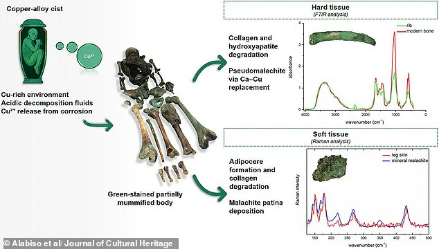 Breakthrough Discovery: Green Mummy's Secret Revealed, Revolutionizing Preservation Science