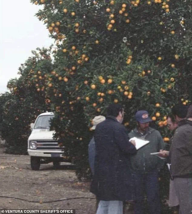 Breakthrough in 40-Year Mystery: Identity Revealed of Woman Found Dead in Ventura County Orange Orchard, Bringing Closure to Family