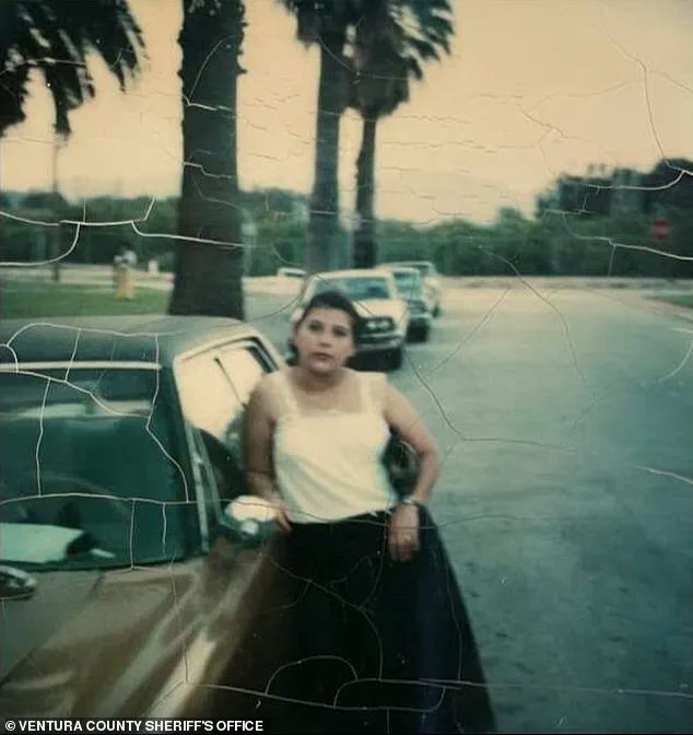 Breakthrough in 40-Year Mystery: Identity Revealed of Woman Found Dead in Ventura County Orange Orchard, Bringing Closure to Family