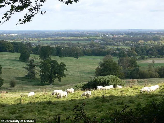 Britain's Woodlands Under Siege: Airborne Microplastics Threaten Pristine Sanctuaries
