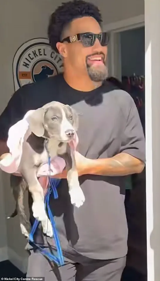 Buffalo Bills' Khalil Shakir Urgently Rescues 19 Dogs from Death Row in Viral Video