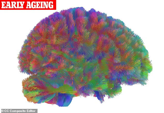 Cambridge Researchers Identify Five Key Stages in Brain Development, Challenging Existing Assumptions