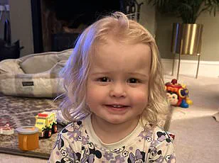 Cardamom Seeds Show Promising Antiviral Potential as Affordable Grocery Staple