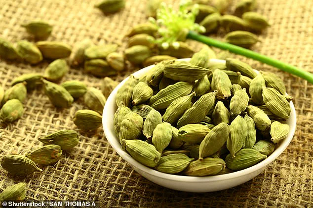 Cardamom Seeds Show Promising Antiviral Potential as Affordable Grocery Staple