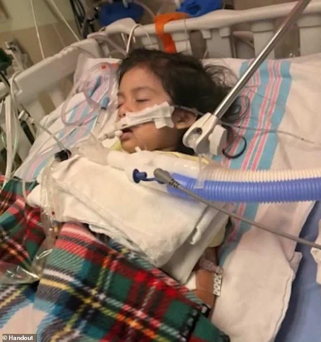 CDC Director Warns of 'Super Flu' Crisis: 'This is the Most Severe Season in Decades' as Nationwide Respiratory Failure Cases Surge