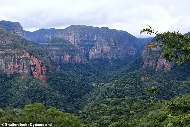 CDC Raises Travel Advisory for Bolivia to Level 2 as Chikungunya Resurgence Sparks Global Health Concern