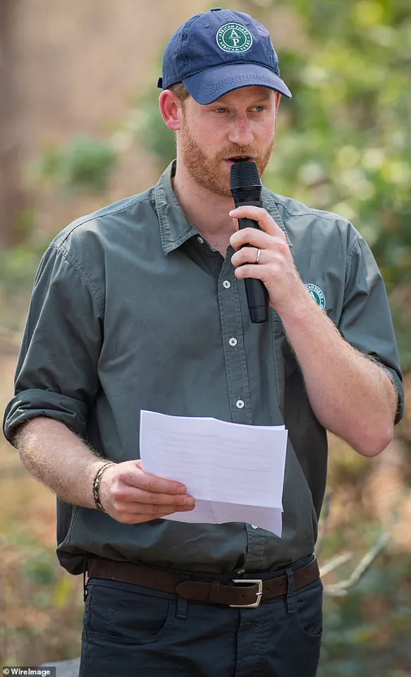 Chad Accuses Prince Harry's African Parks of Neocolonialism Following Partnership Termination