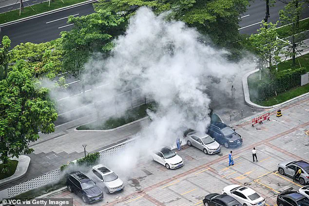 Chikungunya Virus Confirmed in New York, Raising Public Health Concerns After Cross-Atlantic Spread