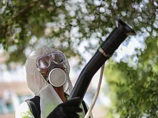 Chikungunya Virus Confirmed in New York, Raising Public Health Concerns After Cross-Atlantic Spread