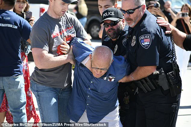 Child Pornography Discovery in Criminal Case Sparks Debate on Government Oversight and Public Safety