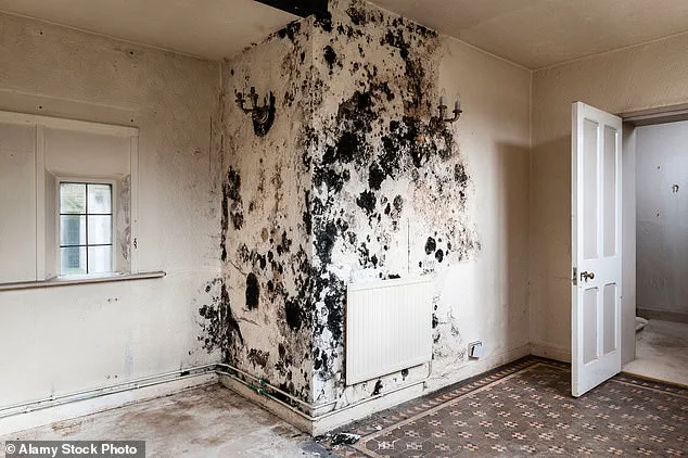 Childhood Exposure to Toxic Mould Linked to Long-Term Lung Damage, Study Finds