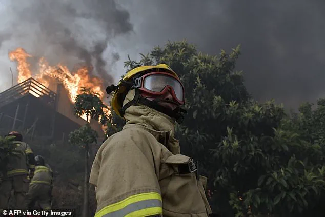 Chile wildfires: 18 dead, 50,000 evacuated as blazes rage in southern regions