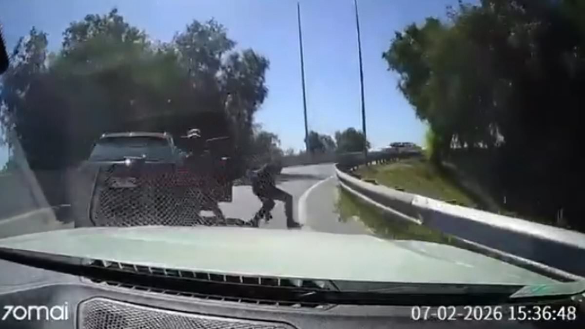 Chilean Motorist's Courageous Stand Against Armed Robber on Highway Sparks Nationwide Dialogue