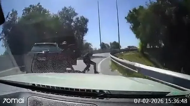 Chilean Motorist's Courageous Stand Against Armed Robber on Highway Sparks Nationwide Dialogue