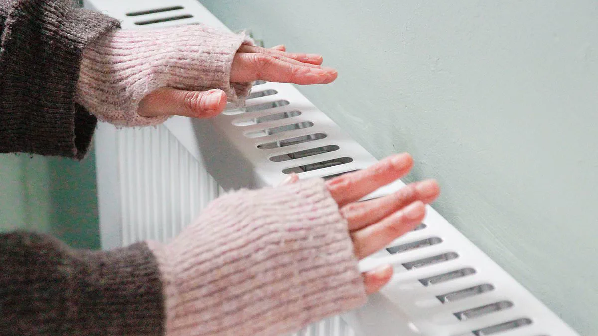 Chronic Cold Hands: A Hidden Health Warning Linked to Thyroid Disorders and Raynaud's Disease