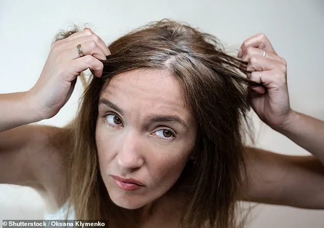 Damask Rose Stem Cells Show Promise in Hair Pigmentation Research