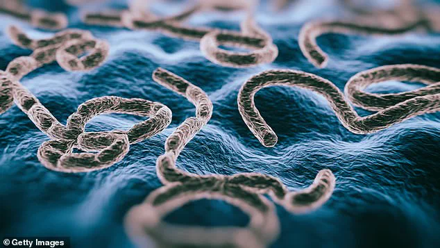 Deadly Ebola Outbreak in DRC Claims At Least 15 Lives as Health System Struggles to Contain Virus with 53.6% Fatality Rate