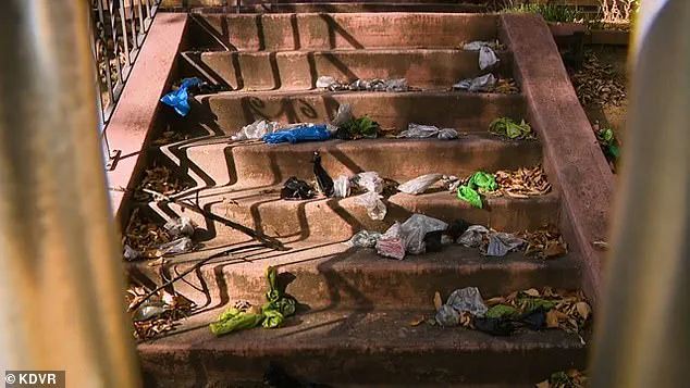 Denver's Struggle to Balance Historic Preservation and Community Standards Over Neglected Mansion