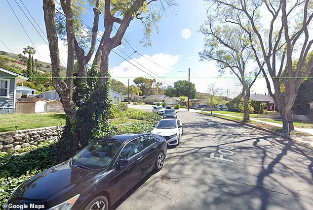 Discovery of Ronald Joseph Cole's Remains in Illinois Brings Closure to Decades-Old Mystery