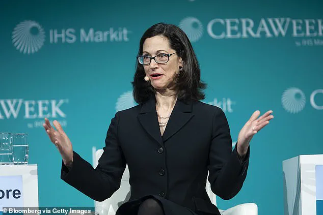 Disgraced CEO's Legal Fight Exposes Government Corruption's Impact on Public Regulation and Accountability