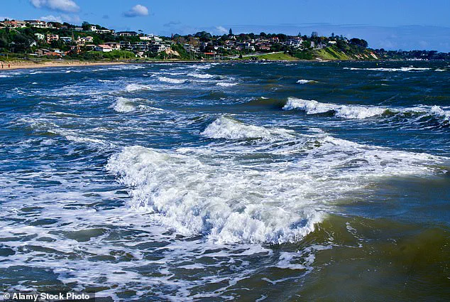 Earthquake Shakes California's Central Coast: 4.1 Magnitude Tremors Reported from Salinas to Lompoc