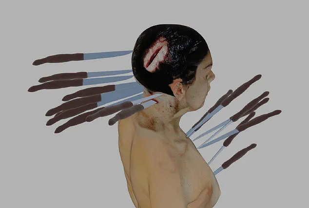 Ellen Greenberg Case: A Decades-Long Battle for Truth Amid Repeated Suicide Rulings