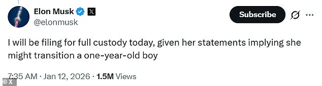 Elon Musk Files for Full Custody of Son Amid Allegations About His Mother's Implications