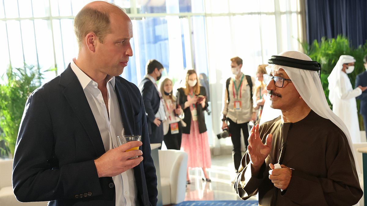 Emirati Billionaire Linked to Jeffrey Epstein via 'Torture Video' Emails in Epstein Network Investigation