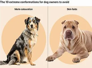 Europe's Hidden Crisis: Invasive Flatworms Hitch a Ride on Pets, Threatening Ecosystems