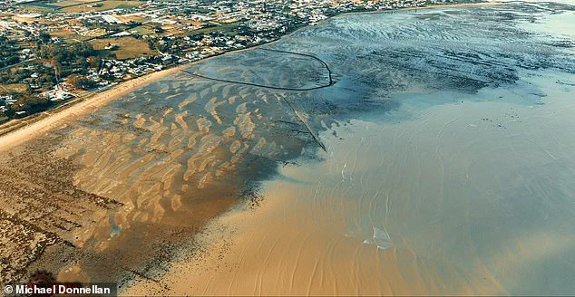 Exclusive Access: Joe Rogan Interview Reveals Groundbreaking Atlantis Discovery