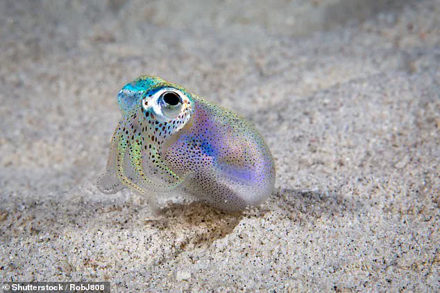 Exclusive Access to the Organic Tamagotchi: A Privileged Glimpse into the Future of Play